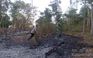 Kebakaran Lahan Kosong Seluas 2 Hektare di Desa Sanca Indramayu Berhasil Dipadamkan