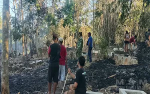 Kebakaran Lahan di Padaherang Pangandaran, 1,5 Hektare Perkebunan Terbakar