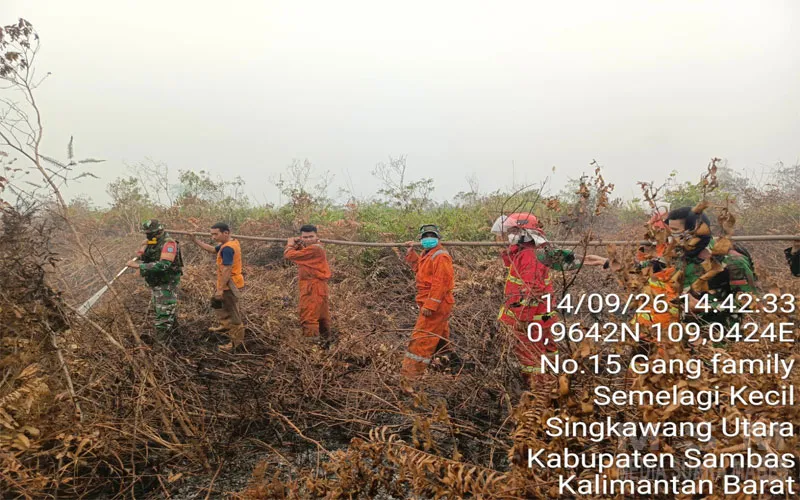 Api Padam, Asap Masih Mengepul, Babinsa dan Tim Gabungan Perketat Pendinginan Karhutla di Singkawang Utara