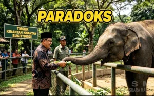Paradoks Ramlan Nurmartias dan Zidan  : Wewenang dan Fungsi Berat, Kewenangan Terbatas