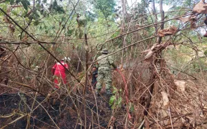 Kebakaran Lahan 1,5 Hektare di Kota Banjar Berhasil Dipadamkan, Tidak Ada Korban Jiwa