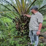 Kaperwil MSM Aceh Dorong Klarifikasi Dugaan Penyaluran Bantuan dan Persoalan Lahan di Buket Makmu