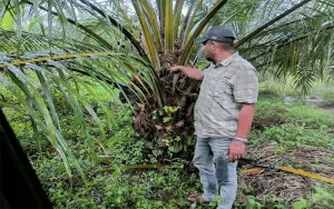Kaperwil MSM Aceh Dorong Klarifikasi Dugaan Penyaluran Bantuan dan Persoalan Lahan di Buket Makmu