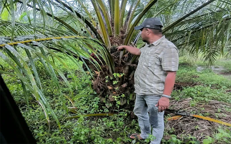 Kaperwil MSM Aceh Dorong Klarifikasi Dugaan Penyaluran Bantuan dan Persoalan Lahan di Buket Makmu