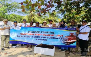 Pembesaran Budidaya Rumput laut masih Dalamtahap Adaptasi. Pembangunan Kawasantersebut Belum Selesai