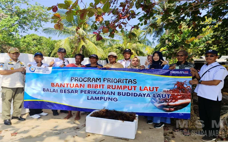 Pembesaran Budidaya Rumput laut masih Dalamtahap Adaptasi. Pembangunan Kawasantersebut Belum Selesai