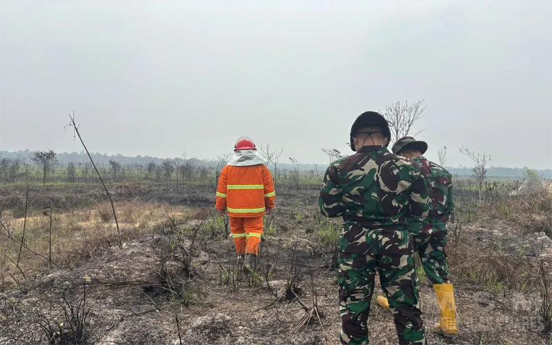 Api Padam, Kodim 1202/Singkawang Perketat Pengawasan Lahan Bekas Karhutla
