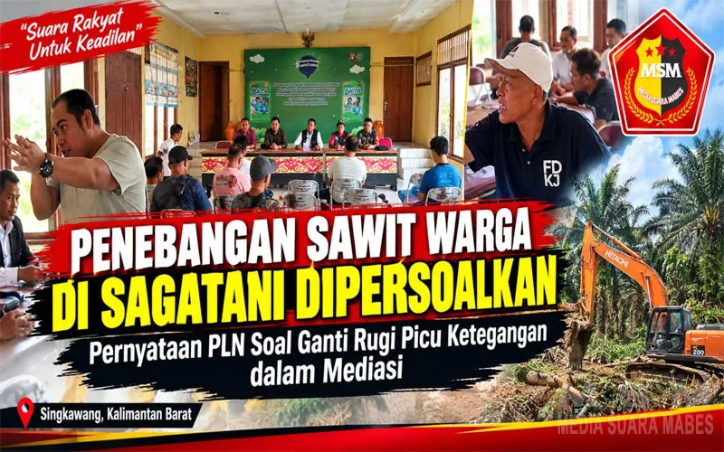 Penebangan Sawit Warga di Sagatani Dipersoalkan, Pernyataan PLN Soal Ganti Rugi Picu Ketegangan dalam Mediasi