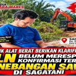 Pemilik Alat Berat Berikan Klarifikasi, PLN Belum Merespons Konfirmasi Terkait Penebangan Sawit di Sagatani