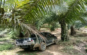 Mantan Geuchik Gampong Buket Tendenk Disorot Terkait Dugaan Persoalan Lahan, Kaperwil MSM Desak APH Lakukan Verifikasi