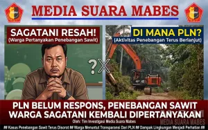 PLN Belum Respons, Penebangan Sawit Warga Sagatani Kembali Dipertanyakan