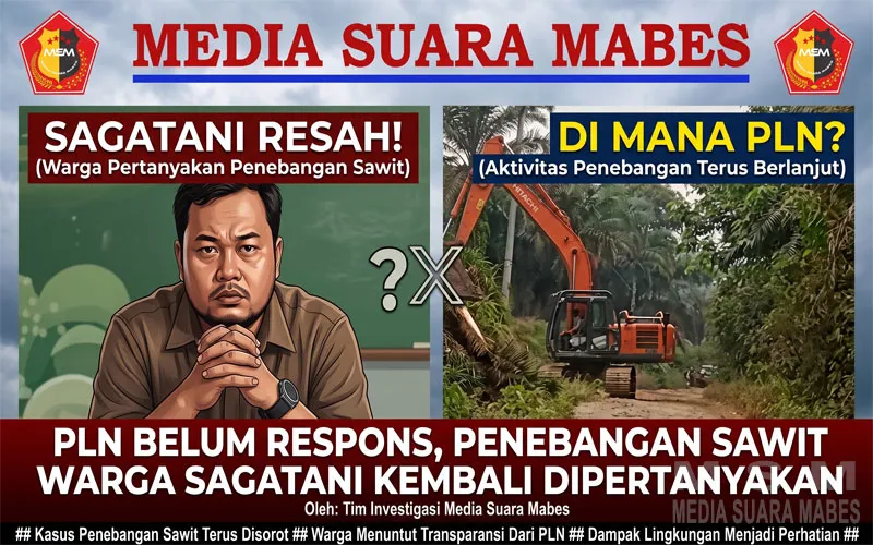 PLN Belum Respons, Penebangan Sawit Warga Sagatani Kembali Dipertanyakan