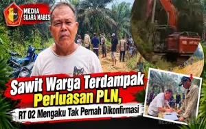 Sawit Warga Terdampak Perluasan PLN, RT 02 Mengaku Tak Pernah Dikonfirmasi