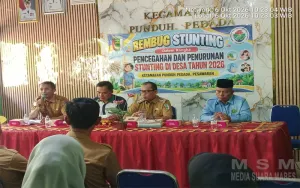 Camat Punduh Pedada: Pencegahan Dan Penurunan Stunting Adalah Tugas Kita Semua