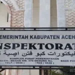 Hanafiah Soroti Pengawasan Dana Desa Sematang, Minta Inspektorat Aceh Timur Buka Hasil Audit