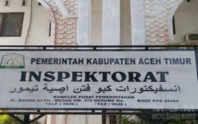 Hanafiah Soroti Pengawasan Dana Desa Sematang, Minta Inspektorat Aceh Timur Buka Hasil Audit