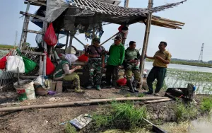 Demplot Metode PM.AAS di Tarumajaya, BPP, Babinsa, Petugas POPT, dan Kelompok Tani Subur Jaya II Bersinergi