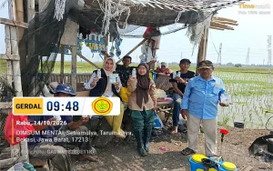 Ibu Eni dari BPP Tarumajaya Bersama Babinsa dan Kelompok Tani sumber jaya II Lakukan Gerdal Menggunakan Agen Hayati
