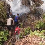 Deteksi 150 Titik Hotspot, Polres Ketapang Bersama Tim Gabungan Lakukan Pemadaman Karhutla di Kendawangan
