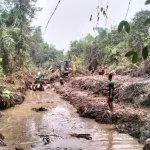 Normalisasi Sungai Bawa Keceriaan, Warga Sairi Bagan Antusias Turun ke Sungai Mencari Ikan