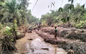 Normalisasi Sungai Bawa Keceriaan, Warga Sairi Bagan Antusias Turun ke Sungai Mencari Ikan