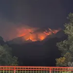 Dampak Karhutla Gunung Lawu, Macan Diduga Turun Gunung dan Mangsa 5 Kambing Warga di Karanganyar
