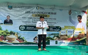 Perkuat Ketahanan Pangan Kepulauan, Pemkab Beltim Salurkan 120 Bibit Ayam untuk Tiga Kelompok Ternak