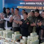 Bea Cukai Gagalkan Penyelundupan 1,16 Ton Ketamin di Sumut