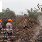 Cegah Munculnya Titik Api, Patroli Lahan Bekas Karhutla Terus Diintensifkan