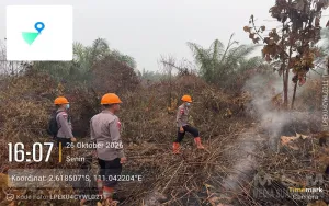 Cegah Munculnya Titik Api, Patroli Lahan Bekas Karhutla Terus Diintensifkan